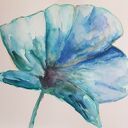Niebieski mak - akwarela 25x25 cm