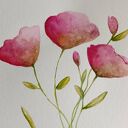 MAKI-akwarela formatu 18/24 cm