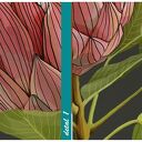Obraz drukowany na płótnie KWIAT PROTEA 70x100 0347