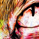 Duży obraz kolorowy kot 12 pop art na płótnie 120x80