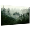 Obraz do salonu LAS L3 - 120x80cm we mgła