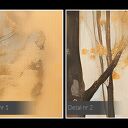 Obraz do salonu - JESIENNY LAS W ZŁOTYCH BARWACH - 70x50 cm (103301)