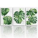 Obraz drukowany na płótnie MONSTERA - TRYPTYK każda 50x70cm (łącznie