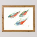 Oryginalna akwarela. Ryby