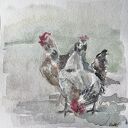 Rysunek z "Kury" - oryginalna akwarela, ręcznie malowany obraz