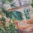 Botaniczna szklarnia - oryginalna akwarela 43x61 cm