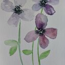 Kwiatki - akwarela formatu 12,5 x 18 cm Paulina Lebida (bez oprawy)