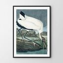 Plakat obraz white vintage 40x50 cm