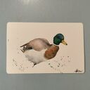 Kaczor akwarela 10 x 15 cm - obraz ręcznie malowany na papierze 250 g