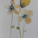 Kwiatki - akwarela formatu 12,5/18 cm