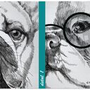 Obraz drukowany na płótnie Buldogi Francuskie - rodzina 120x80 cm