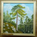 Obraz z ramą - "Wsłuchaj się w szepty lasu" (30x30 cm) - pejzaż sosny