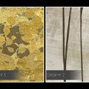 Obraz na płótnie - ZŁOTE DRZEWA - W PIONIE - 50x70 cm (77103)