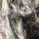 Koń w Ruchu - Obraz z Włókien, Mocne Kontrasty, Rękodzieło 100x70