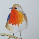 ZAMÓWIENIE - trzy akwarele