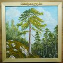 Obraz z ramą - "Wsłuchaj się w szepty lasu" (30x30 cm) - pejzaż sosny