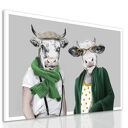 Stylowe Krowy - Humorystyczny Obraz na Płótnie do Nowoczesnego Wnętrza 120x80