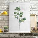 Obraz drukowany na płótnie AKWARELOWA ROSLINKA-EUKALIPTUS 40x60cm