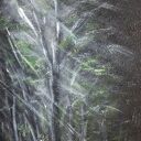 Obraz olejny 30x40 - Sekret Nocy, nocny las w srebrnej mgle