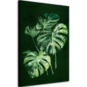 Obraz drukowany na płótnie KWIAT MONSTERA 70x100cm