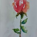 Dwie oryginalne akwarele 18x24 cm - komplet bez oprawy