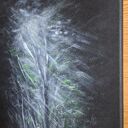 Obraz olejny 30x40 - Sekret Nocy, nocny las w srebrnej mgle