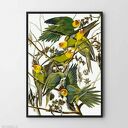 Plakat obraz papugi w kwiatach 40x50 cm