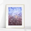 Oryginalna akwarela A4. Łąka