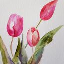 Tulipany - akwarela formatu 32/24 cm