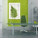 Obraz na płótnie 70x100 cm Paproć 02168 - wysyłka w 24 h