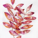 Listki róż/pomarańcz A4 - akwarela