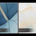 Obraz do salonu - KWIATY LOTOSU LIŚCIE LOTOSU - 70x50 cm (105901)