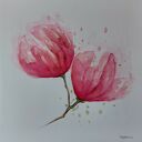 Akwarela z magnoliami 25x25 cm - oryginalny obraz w kwiatach