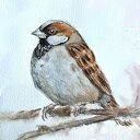 Wróbelek - akwarela ręcznie malowana na papierze 19x26 cm (ptaki)