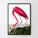 Plakat obraz vintage flaming 50x70 cm B2