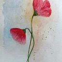 Maki - oryginalna akwarela 24 x 18 cm
