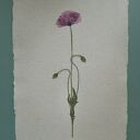 Piękno prostoty - autorski obraz z suszonym kwiatem 30x40 cm