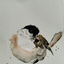 Sikora czarnogłowa. Akwarela