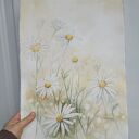 Delikatność natury - akwarela z rumiankami w passe-partout 40x50cm