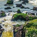 Obraz na ścianę Wodospad Iguazu - dżungla i rzeka 120x80 cm