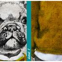 Obraz na płótnie Buldog Gustaw 80 x 120 cm - pies w swetrze