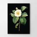 Plakat obraz black vintage 50x70 cm B2