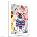 Obraz na płótnie - 50x70cm BULDOG FRANCUSKI wysyłka w 24h 02159