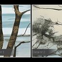 Obraz do salonu - NADMORSKI KRAJOBRAZ Z DRZEWAMI - 70x50 cm (102801)