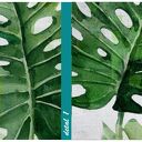 Obraz drukowany na płótnie Kwiat Monstera 80x120 cm - gotowy do zawieszenia