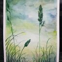 TRAWKI-akwarela formatu 24/18 cm