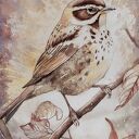 Akwarela | Ptak na gałęzi w jesiennych barwach | Impresja | 40x50cm passe-partout