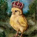 Majestatyczne pisklę. Akwarela