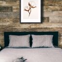 Plakat 40 x 60 Bawełna i - naturalna dekoracja do Twojego wnętrza