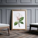 Plakat obraz vintage Magnolia B1 70x100 cm